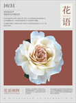 花海报