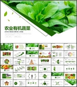 农业蔬菜批发PPT