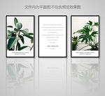 绿色植物英文北欧装饰画三联画