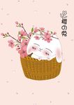 樱之兔1