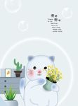 泡泡猫咪