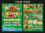 江苏炒货干果 开业宣传单
