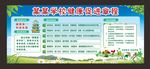 学校健康促进章程 绿色清新展板