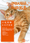 宠物 宠物大联盟 萌动出击