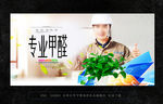 除甲醛