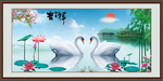 白天鹅