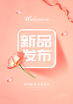 新品发布
