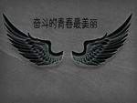 网红背景拍照