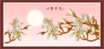 玉兰花