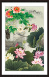 荷花图
