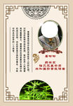 屠呦呦