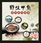 甲鱼