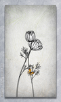 现代画