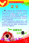 禁毒宣传展板