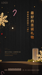地产 黑金  圣诞节   海报