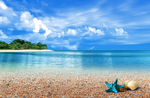 大海