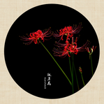 彼岸花