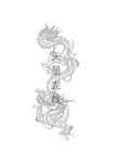 龙