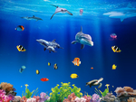 海底世界