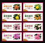 菊花节