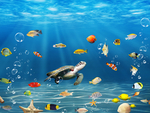 海底世界