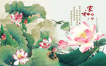 荷花背景