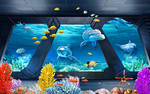 3d海豚海底背景墙