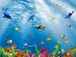海洋生物