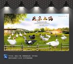 鸭