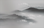 新中式圆形挂画装饰画圆形玄关画