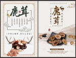 鹿茸宣传