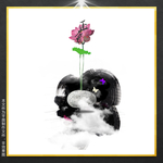 艺术荷花
