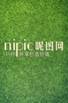 草地