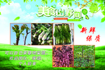美食山野间 野菜海报