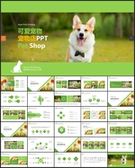 宠物店兽医动态PPT