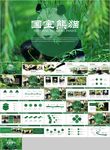 保护动物吃竹子国宝熊猫野生动物