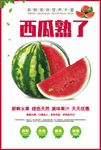 西瓜