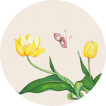 花鸟装饰画