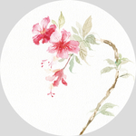 复古清新花鸟装饰画