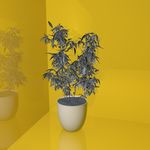 花草模型 花盆模型 绿叶 植物