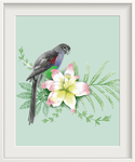 清新花鸟画