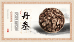 中药丹参