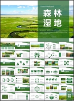 湿地森林生态保护PPT