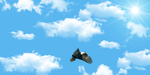 天空