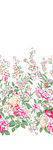 定位花