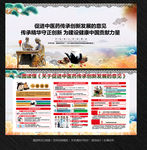 促进中医药传承创新发展的意见