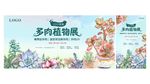 多肉植物海报