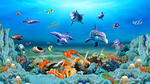 海底生物