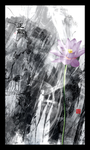 荷花装饰画