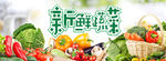 蔬菜 绿色 有机蔬菜 蔬菜展板